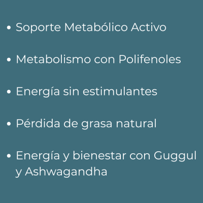 METACTIVE